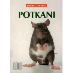 Kol.: Potkani