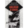 McDonald, K.: Oblaka v ohni