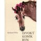 Říha, B.: Divoký koník Ryn