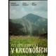 Einhornová, M., Einhorn, E., Suchl, J.: Na shledanou v Krkonoších