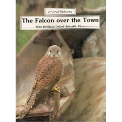 Birkhead, M.: The falcon over the town