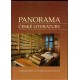 Kolektiv autorů: Panorama české literatury. Literární dějiny od počátků do současnosti