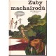 Mikula, J.: Zuby machairodů